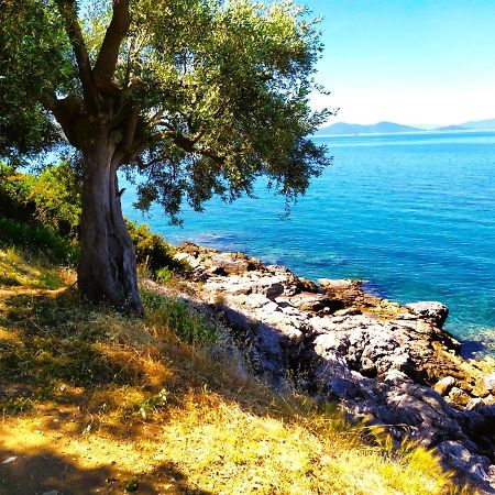 Villa Leonidas Greecefiloxenia Лефокастро Екстер'єр фото