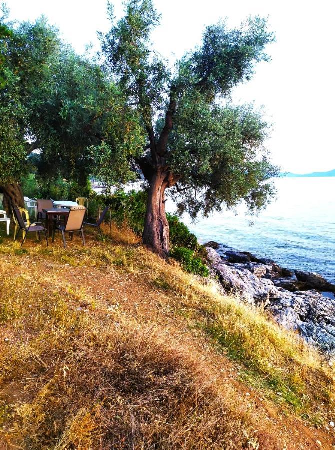 Villa Leonidas Greecefiloxenia Лефокастро Екстер'єр фото