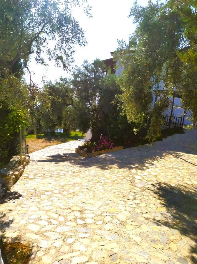 Villa Leonidas Greecefiloxenia Лефокастро Екстер'єр фото