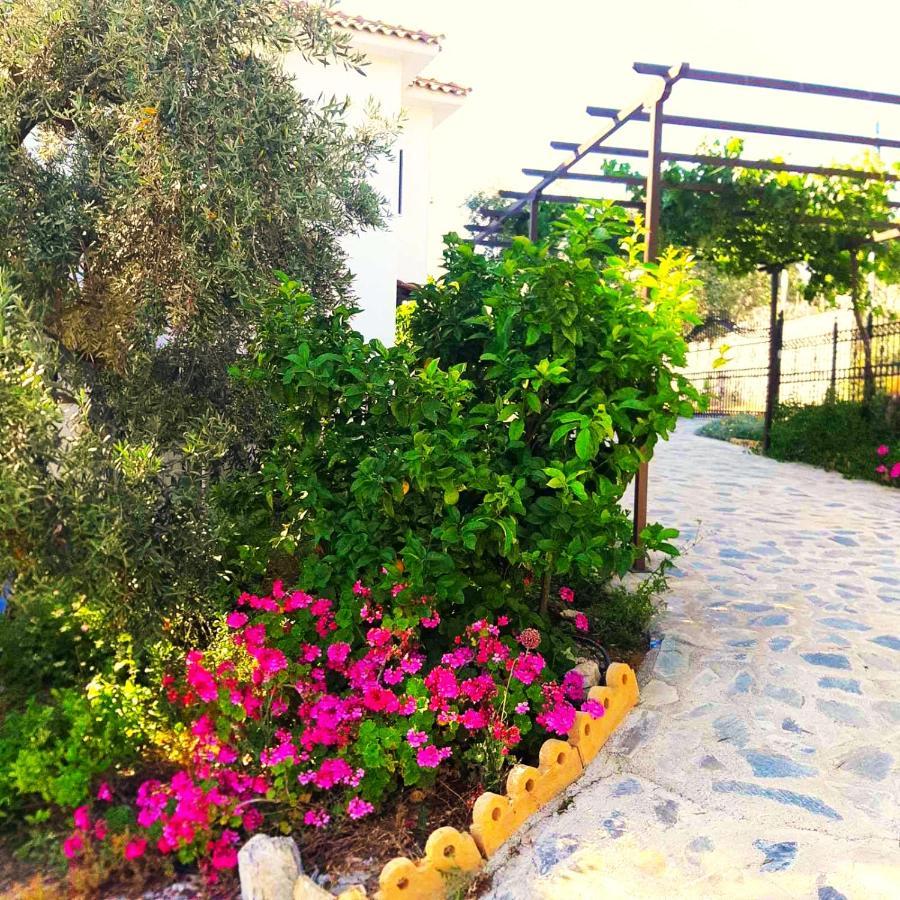 Villa Leonidas Greecefiloxenia Лефокастро Екстер'єр фото