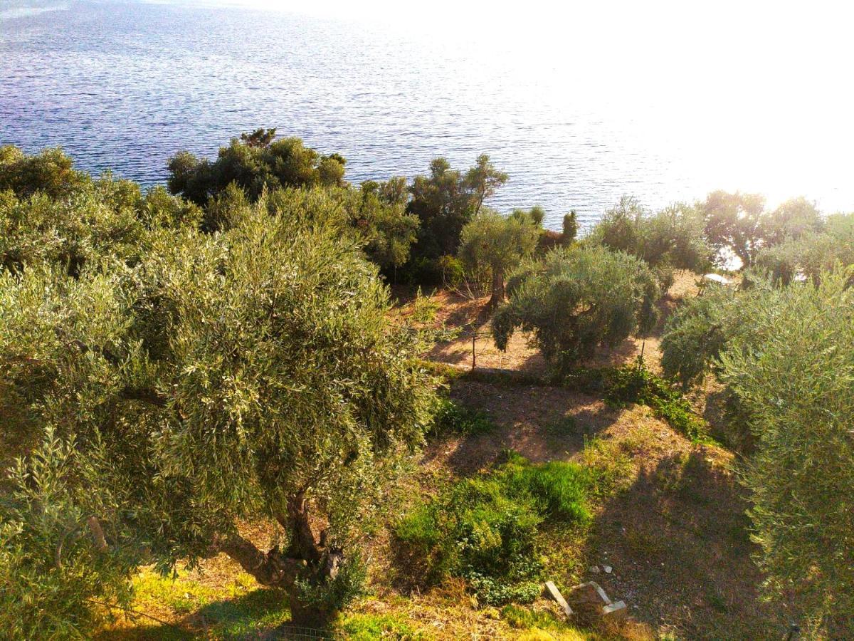 Villa Leonidas Greecefiloxenia Лефокастро Екстер'єр фото