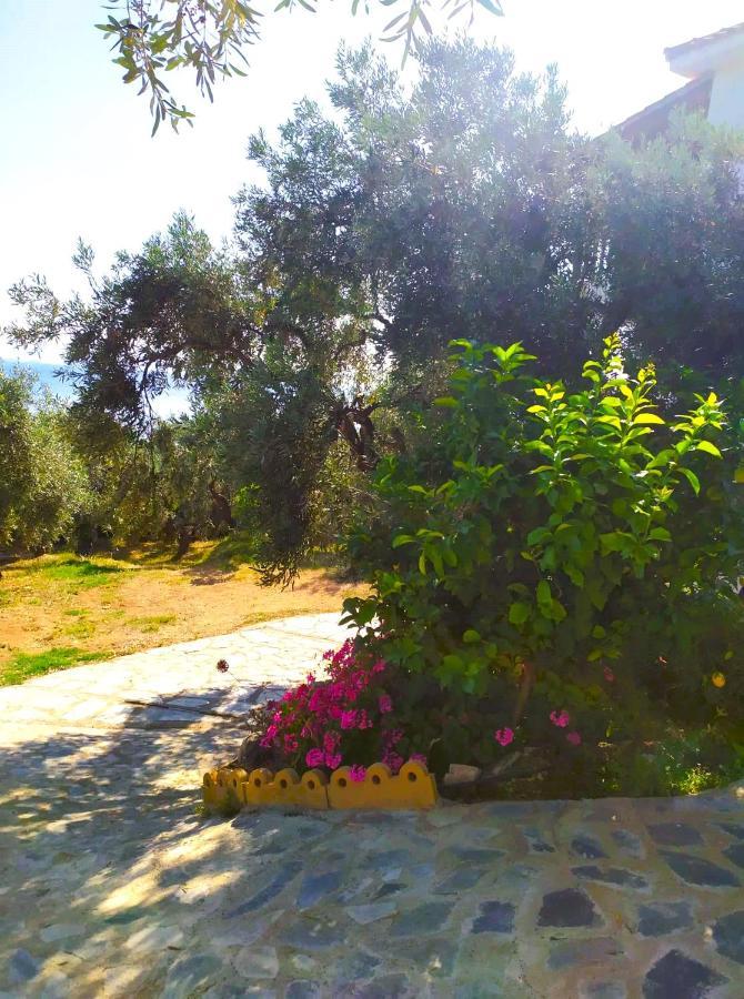 Villa Leonidas Greecefiloxenia Лефокастро Екстер'єр фото